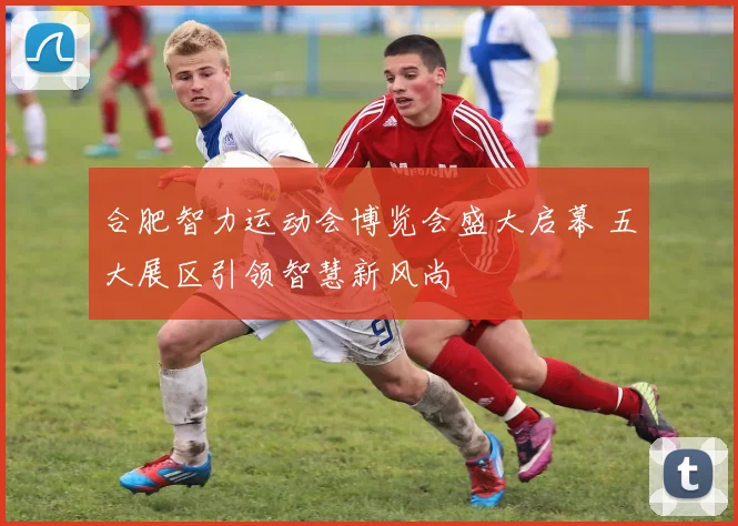 合肥智力运动会博览会盛大启幕 五大展区引领智慧新风尚