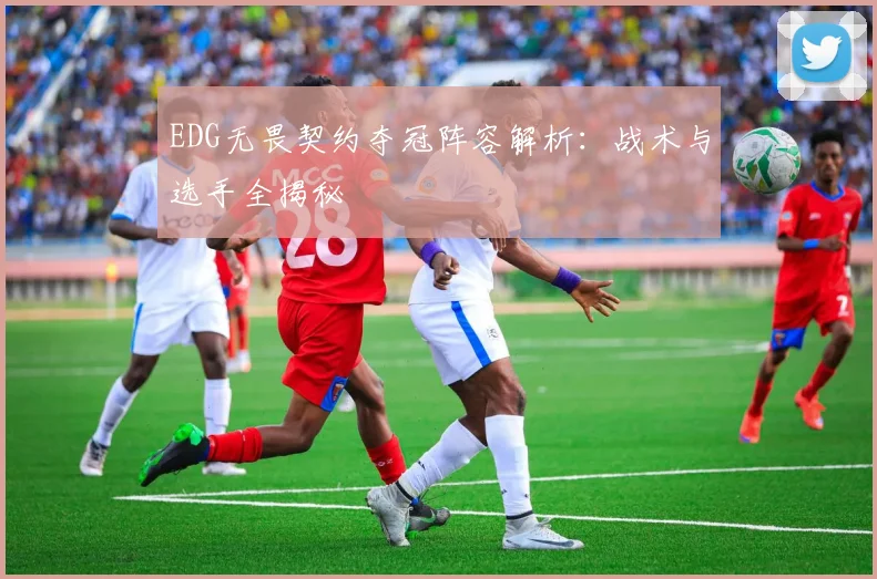 EDG无畏契约夺冠阵容解析：战术与选手全揭秘